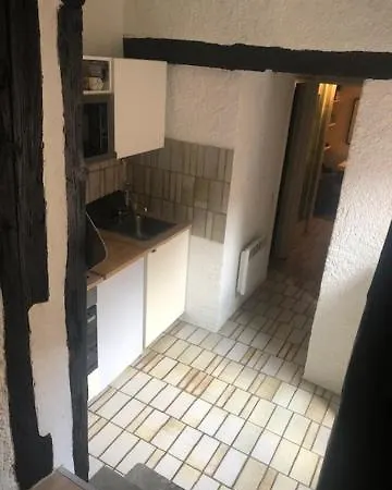 Le Secret Des Tanneurs Appartement Colmar