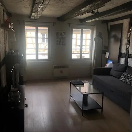 Le Secret Des Tanneurs Lägenhet Colmar