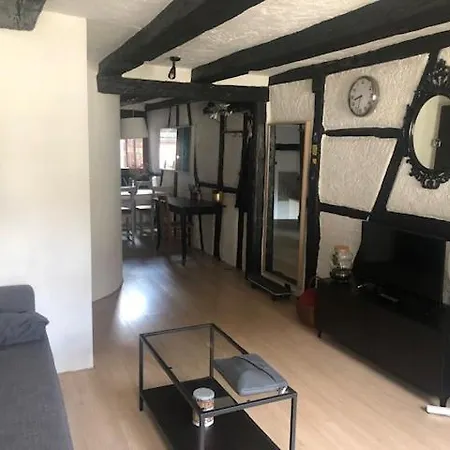 Le Secret Des Tanneurs Appartement Colmar