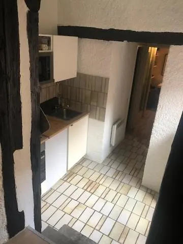 Le Secret Des Tanneurs Appartement Colmar