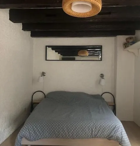 Le Secret Des Tanneurs Appartement Colmar